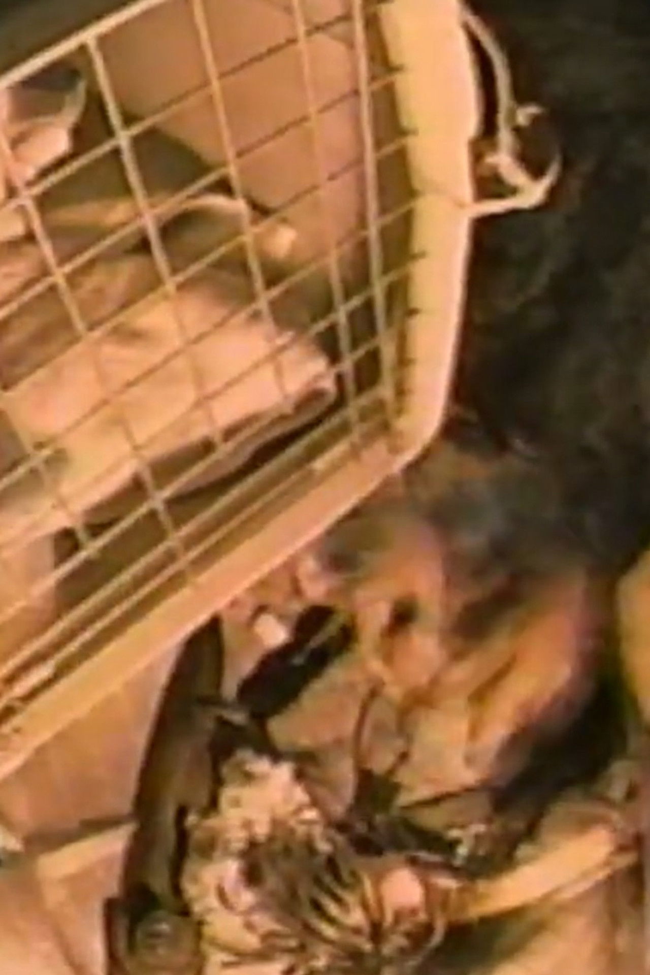 Mr. Withers' Apartment Backdrop