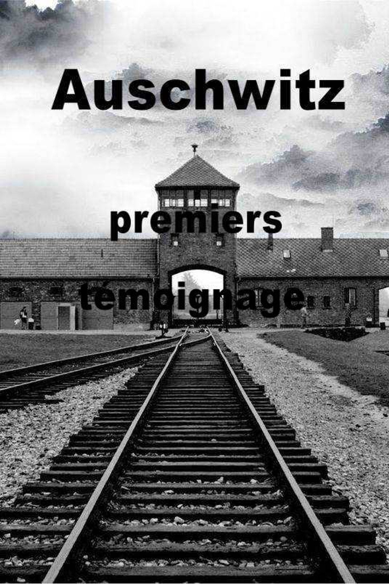 Auschwitz, premiers témoignages filmaffisch