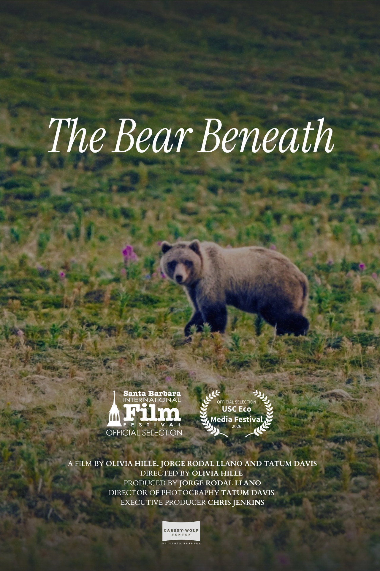 The Bear Beneath poster