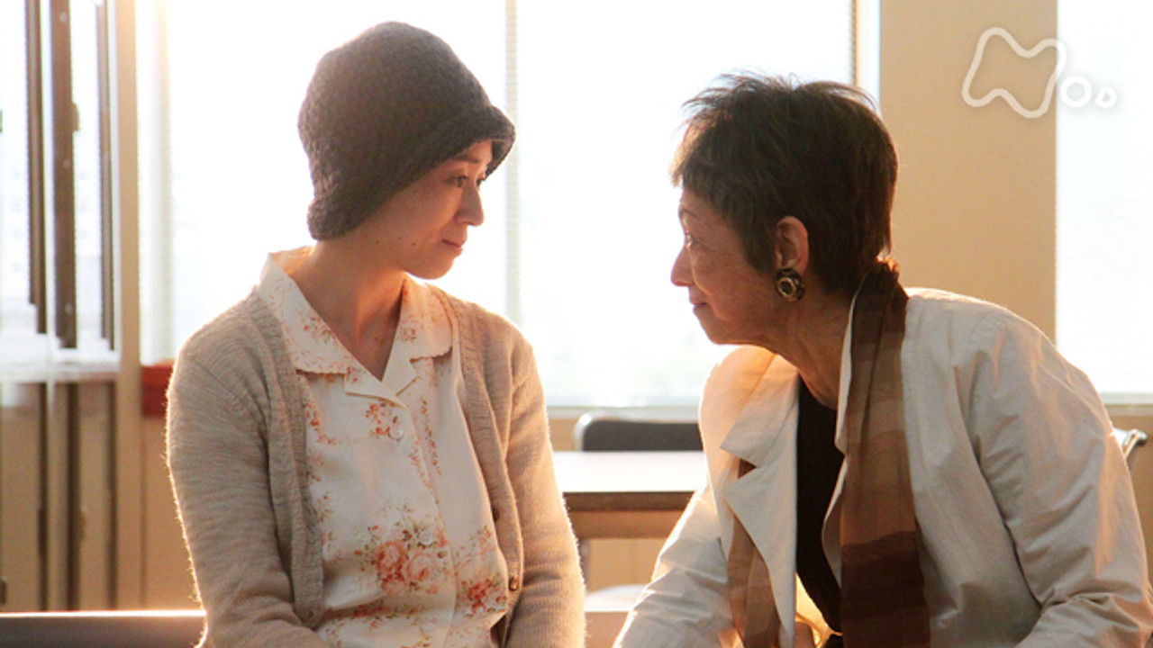 カーネーション — Épisode 144