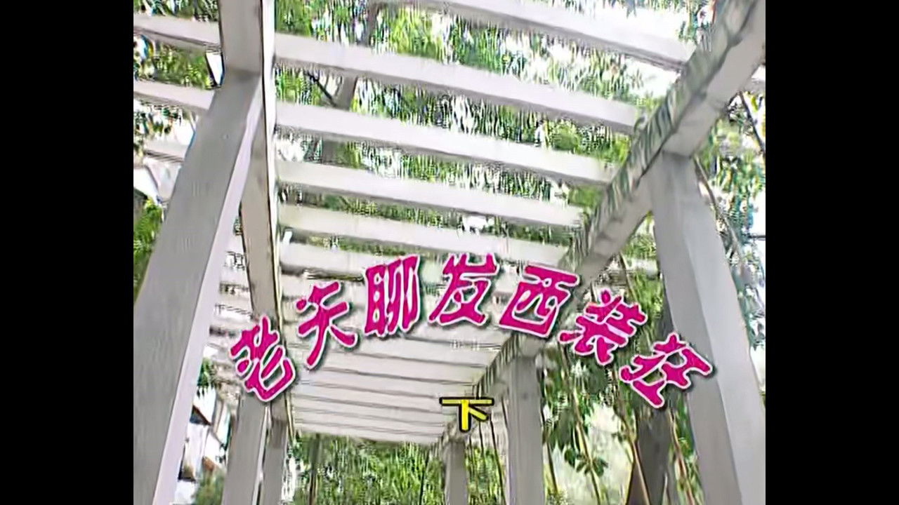 外来媳妇本地郎 — Épisode 358