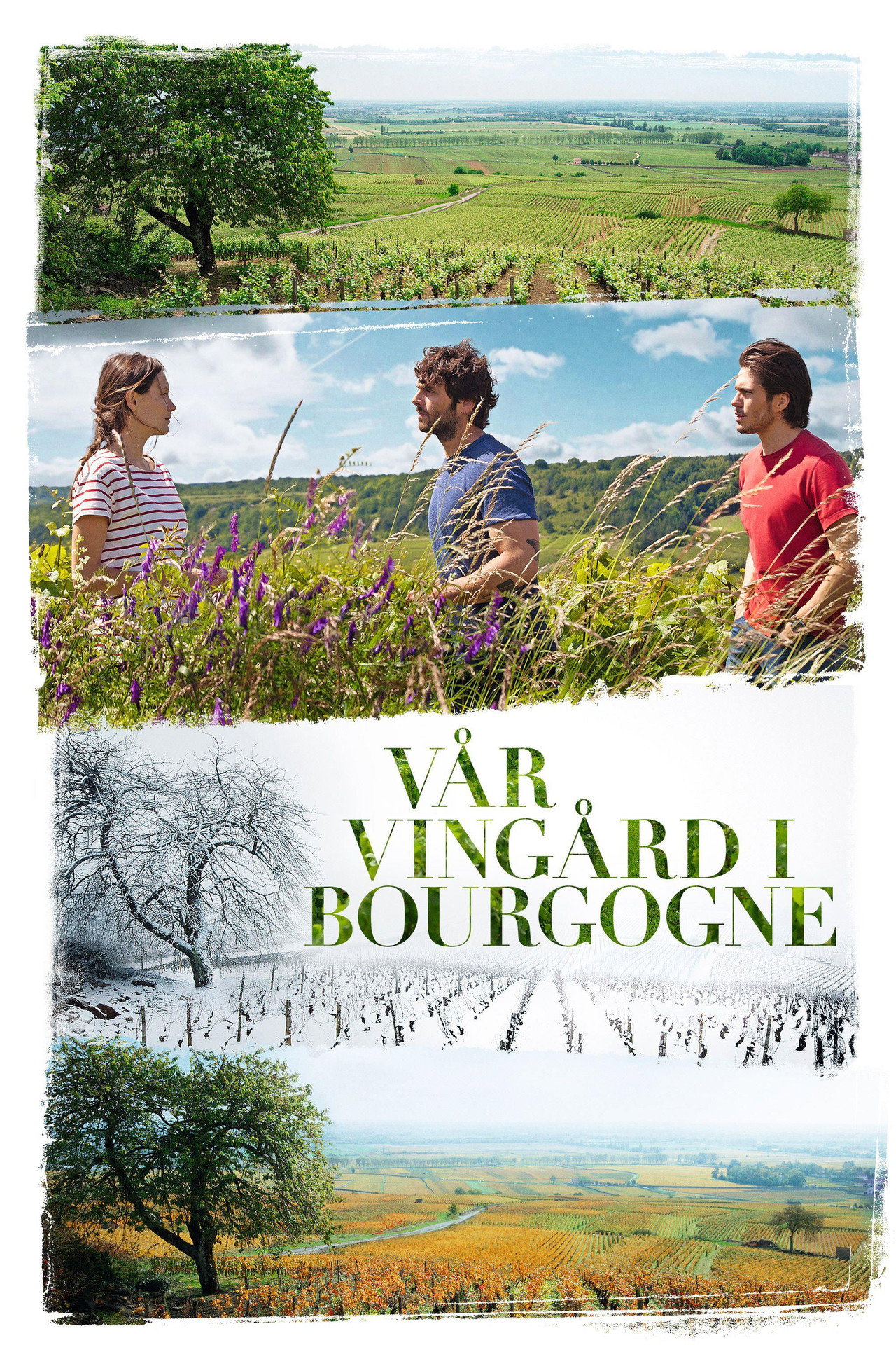 Vår vingård i Bourgogne filmaffisch