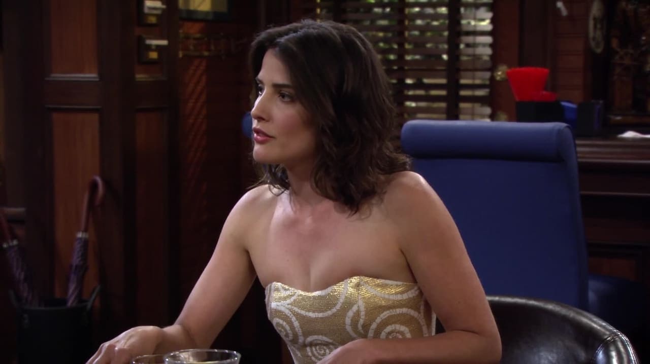 How I Met Your Mother - Season 9 Episode 15 : Unpause