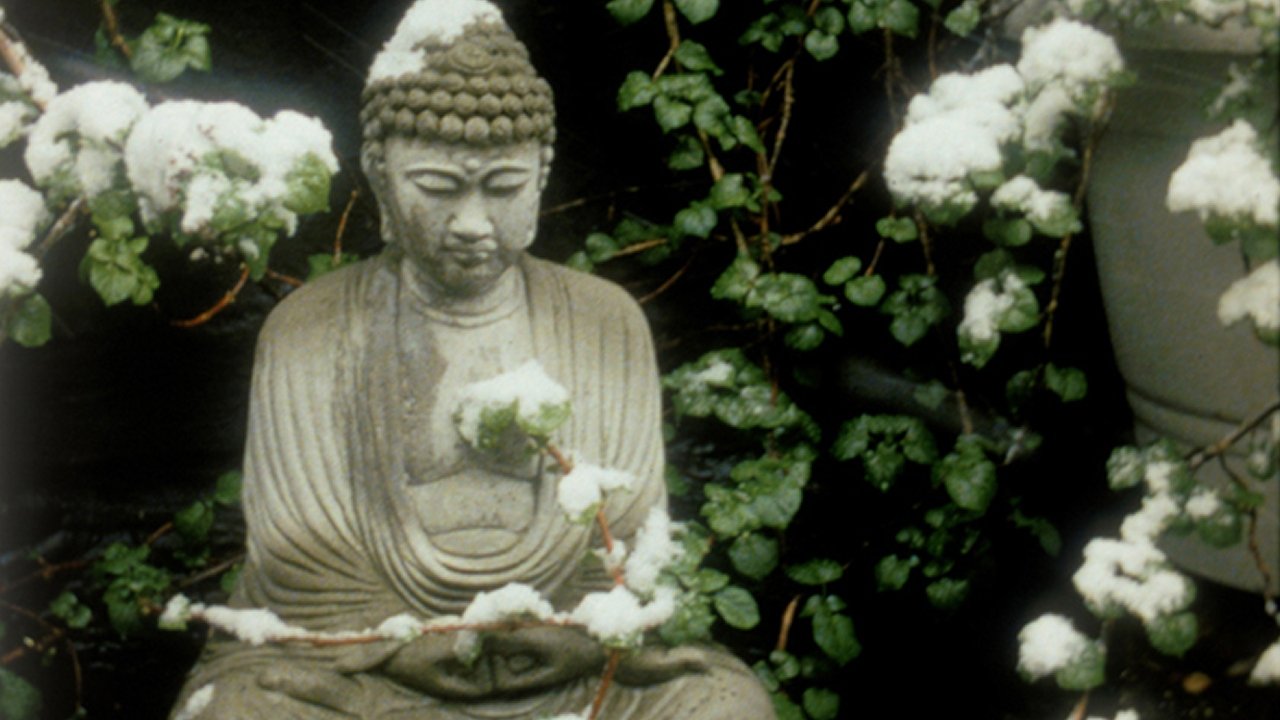 The Odds of Recovery