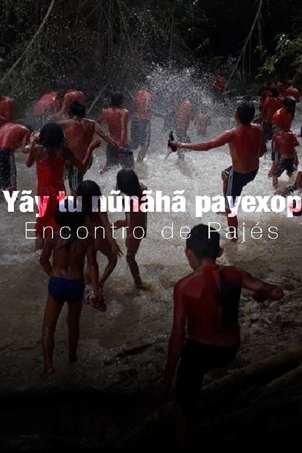 Yãy tu nũnãhã payexop: Encontro de Pajés filmaffisch