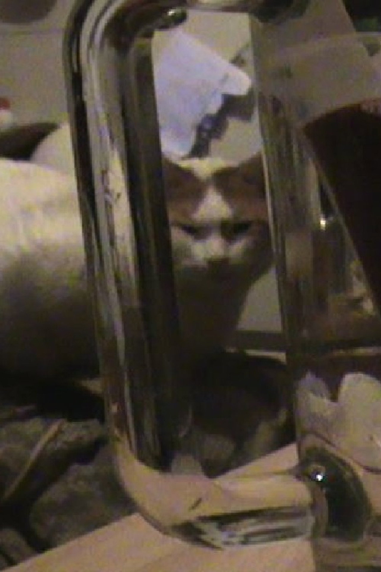 Hux Flux, the Son of Fig Backdrop