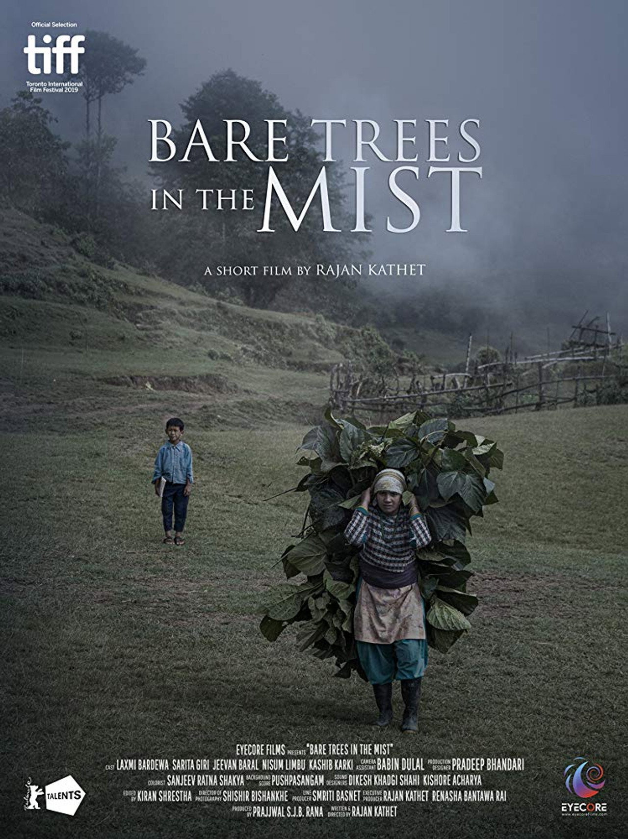 Bare Trees in the Mist filmaffisch