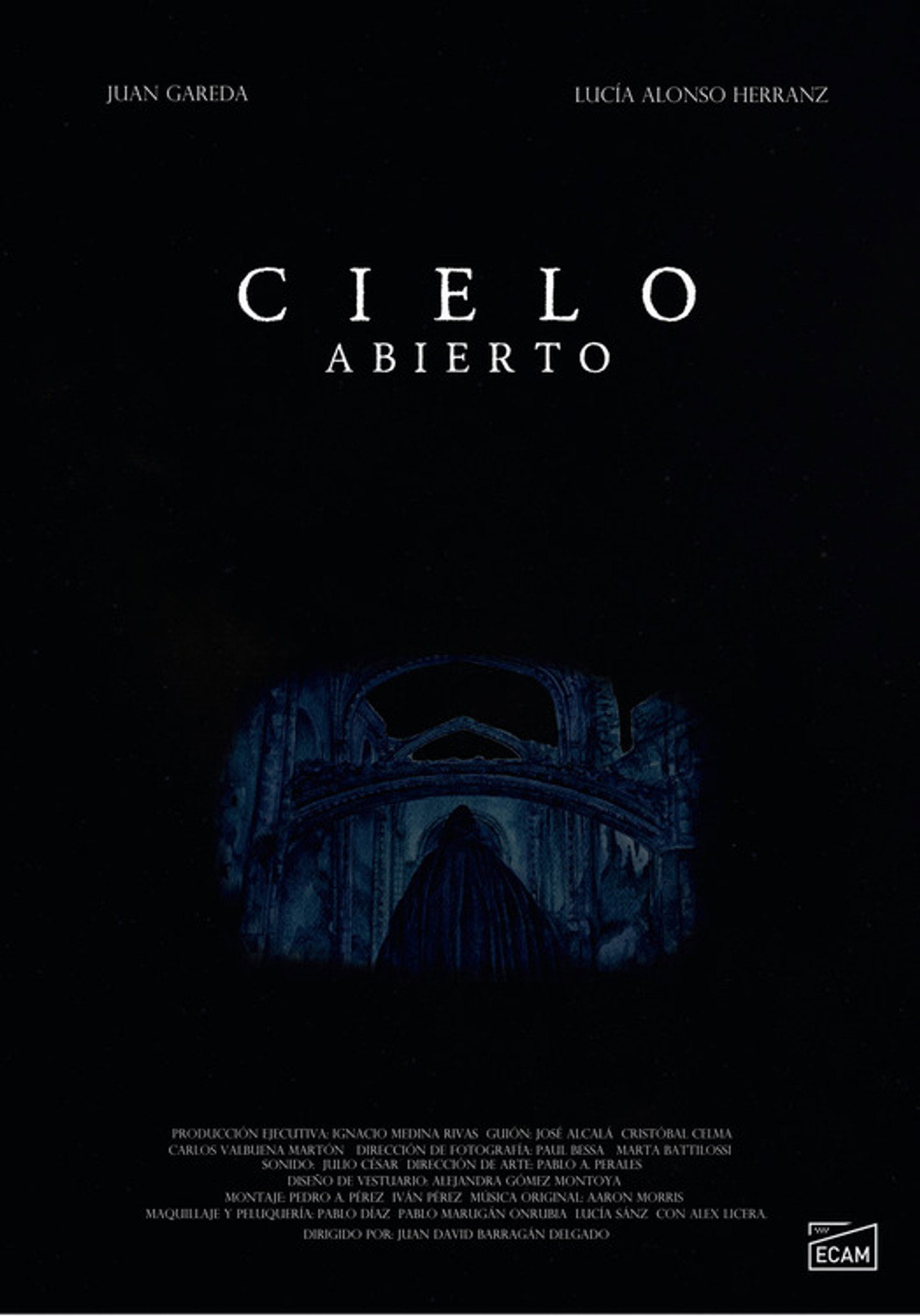 Cielo Abierto filmaffisch