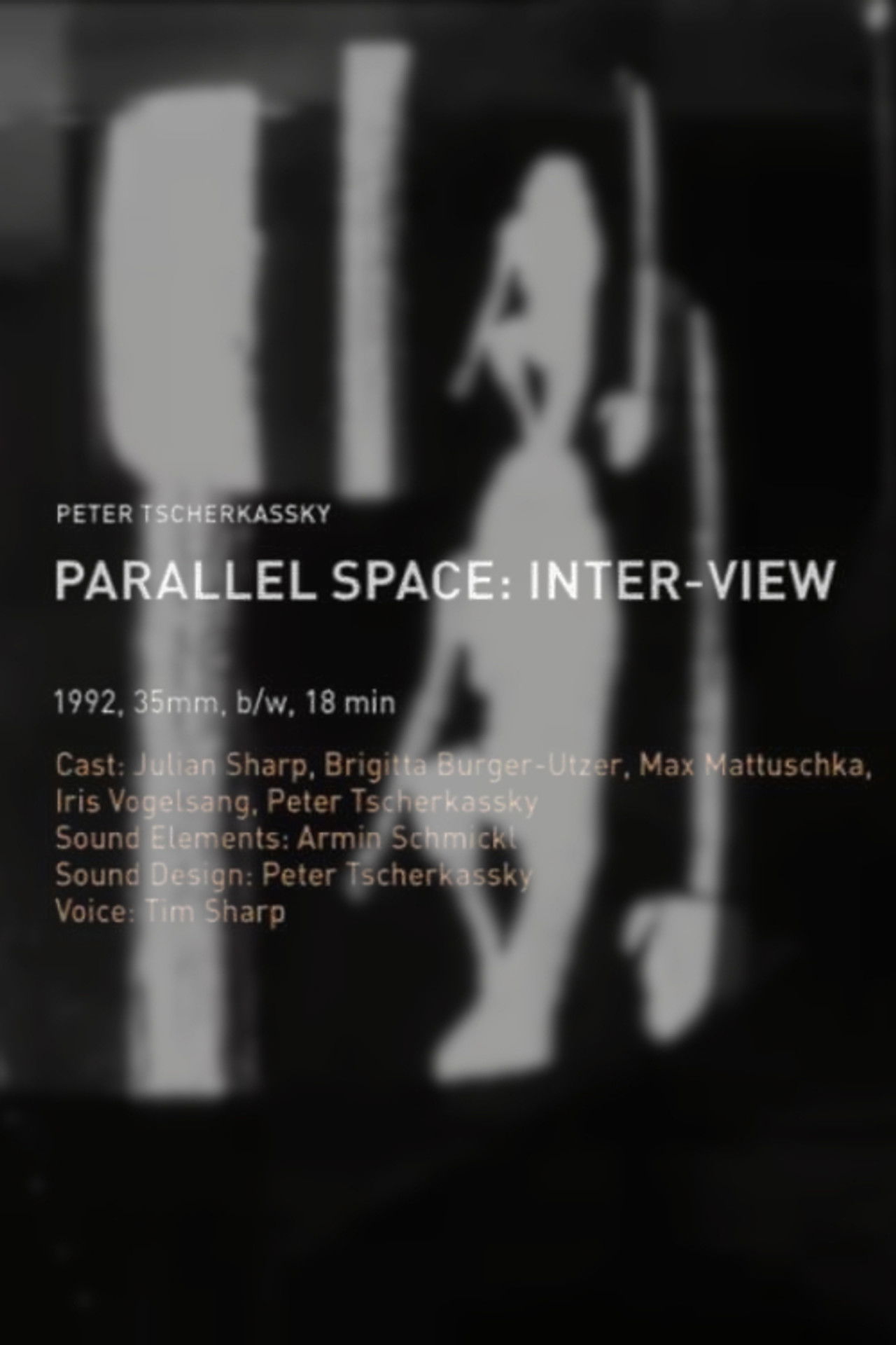 Parallel Space: Inter-View Backdrop