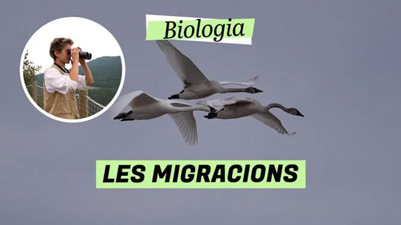 Biologia — Épisode 14
