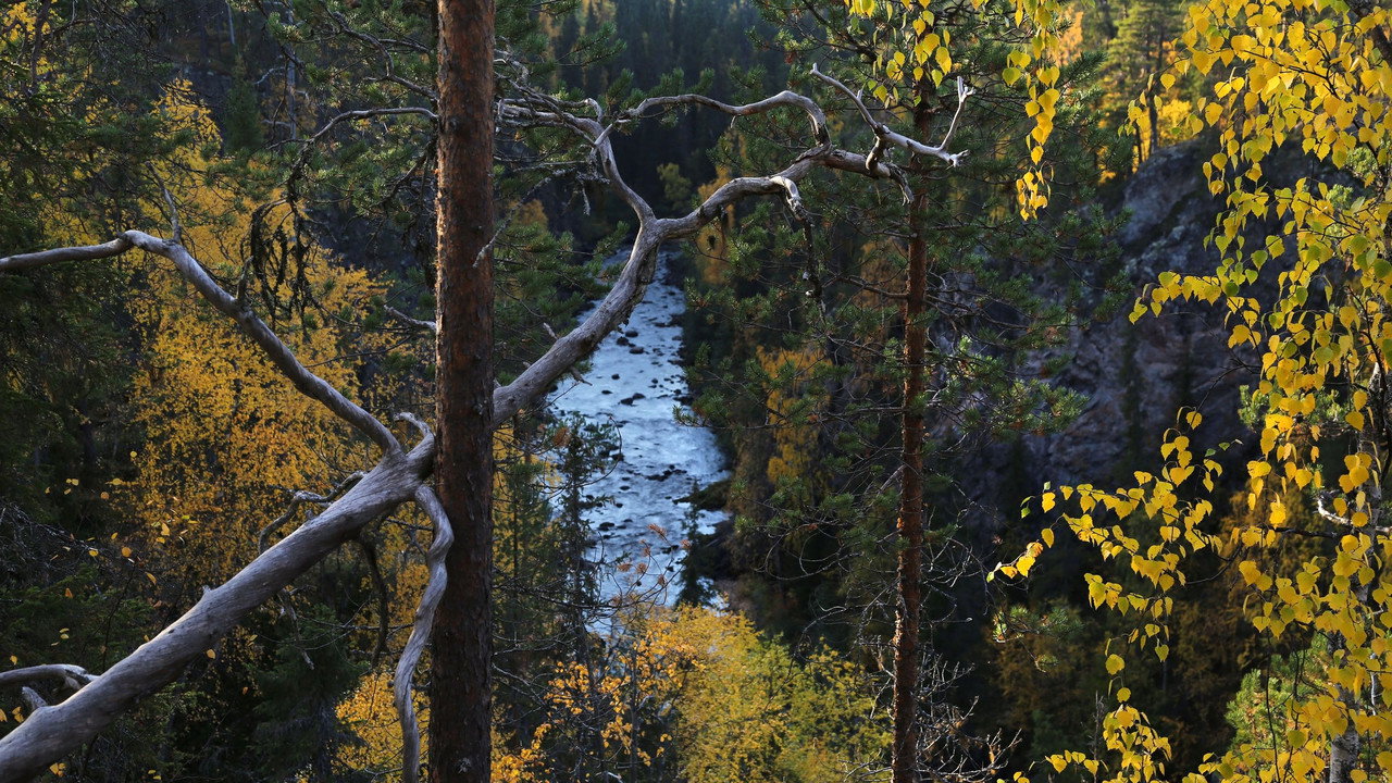 Erämaan lumo