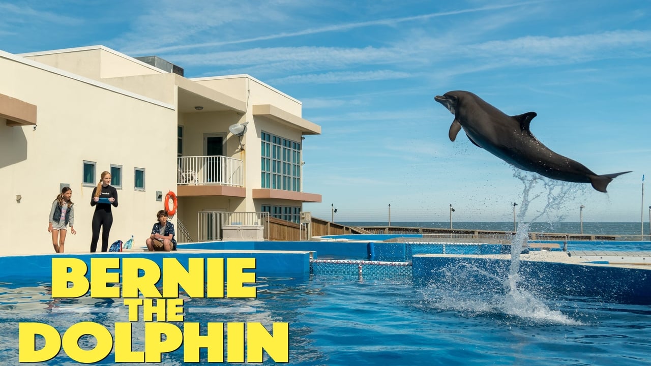 Bernie the Dolphin background