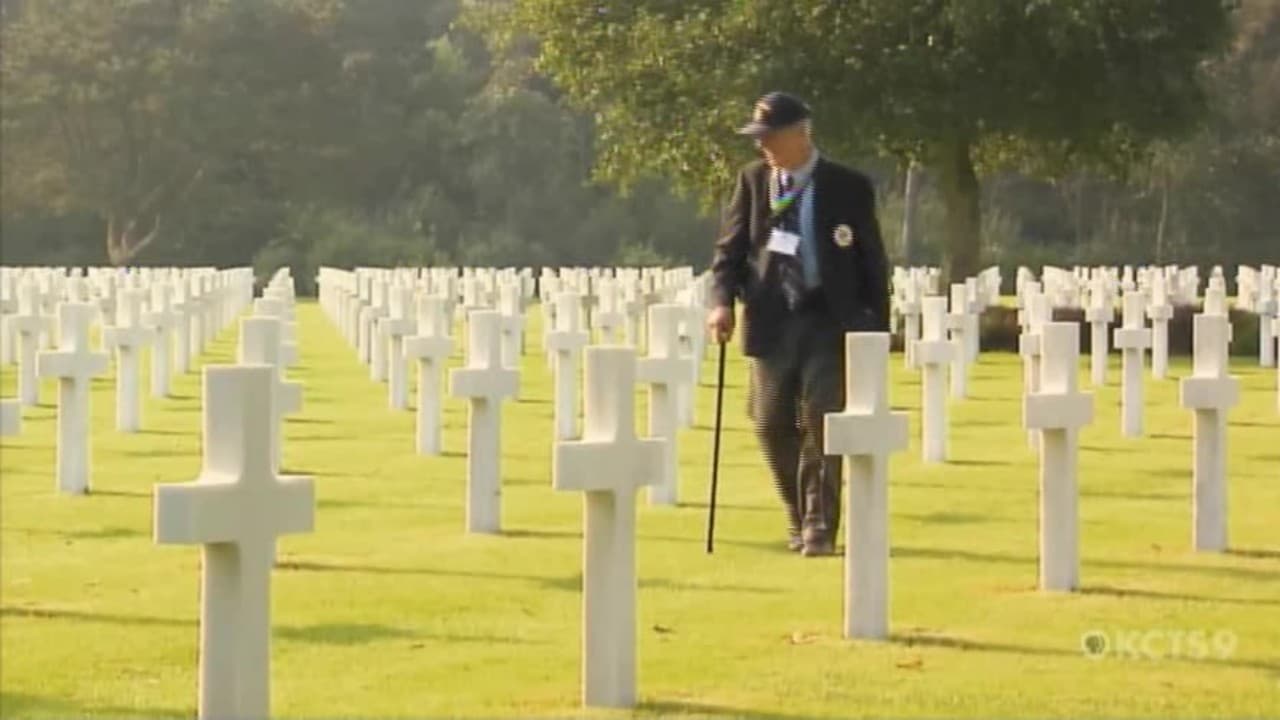 Day of Days: June 6, 1944 - American Soldiers Remember D-Day background