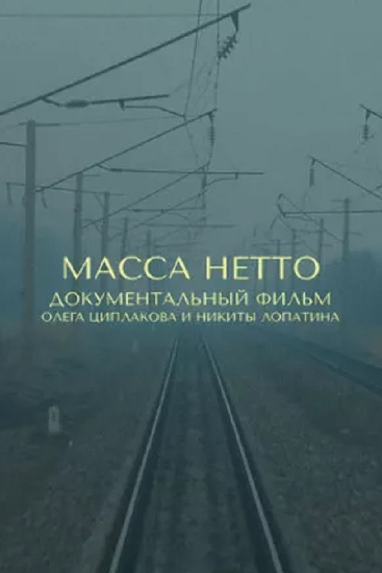 Net Weight (2019)