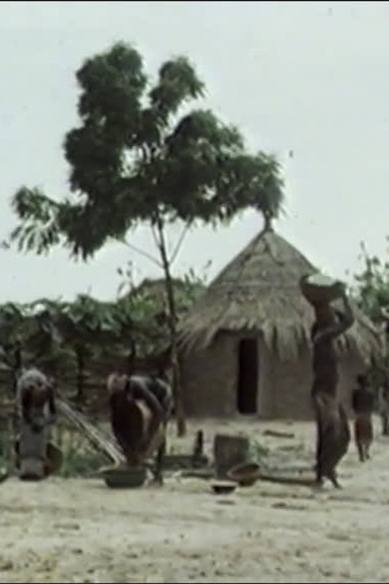Subsister en savane (1987)