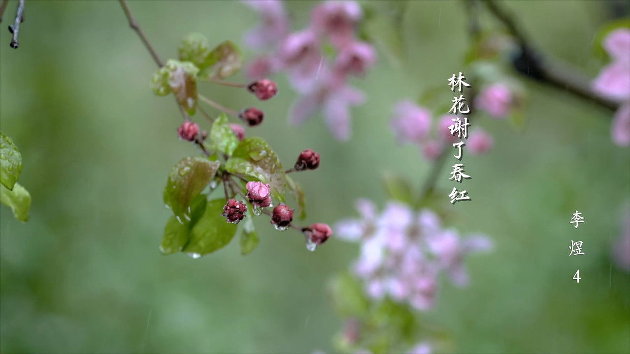 千古风流人物 — Épisode 8