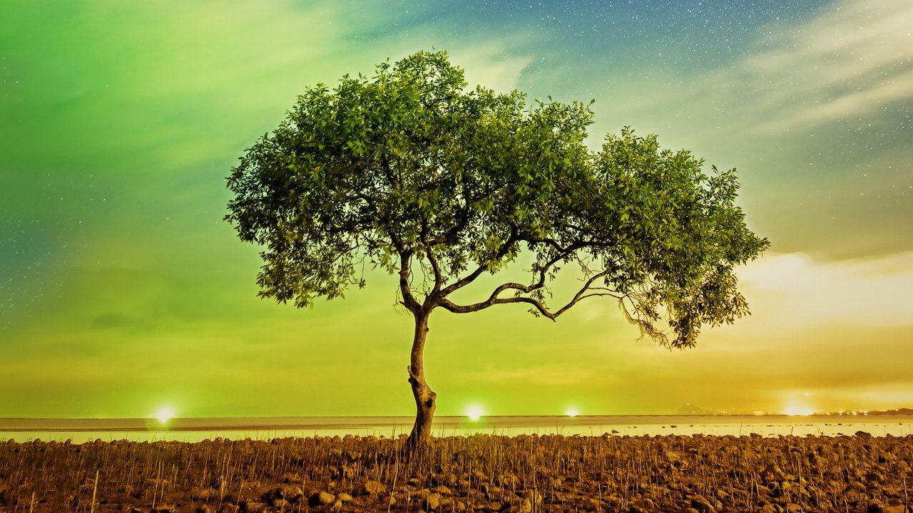 A Perfect Planet İzle