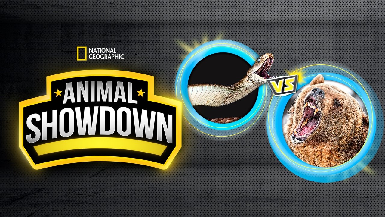 Animal Showdown background