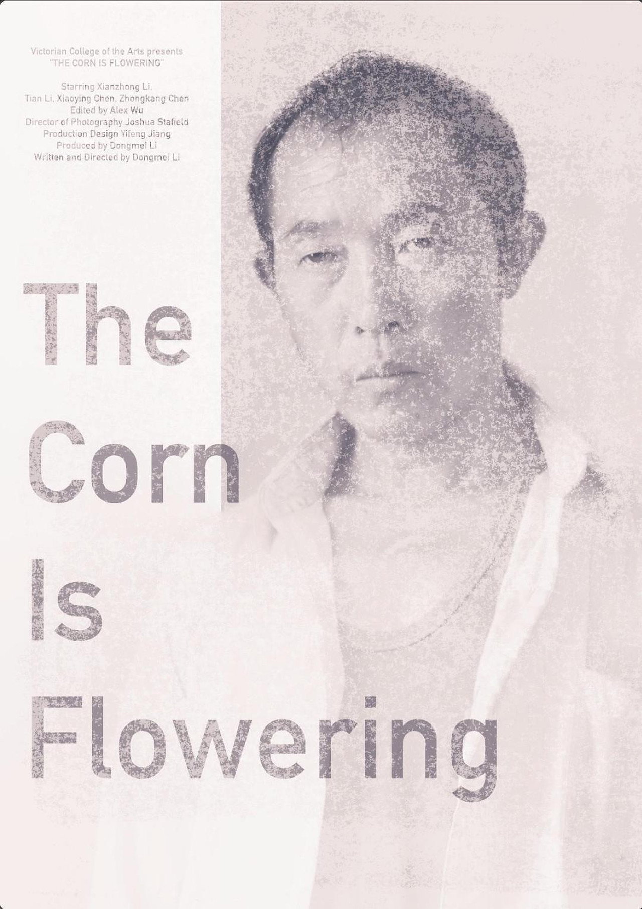 阳光照在草上 filmaffisch