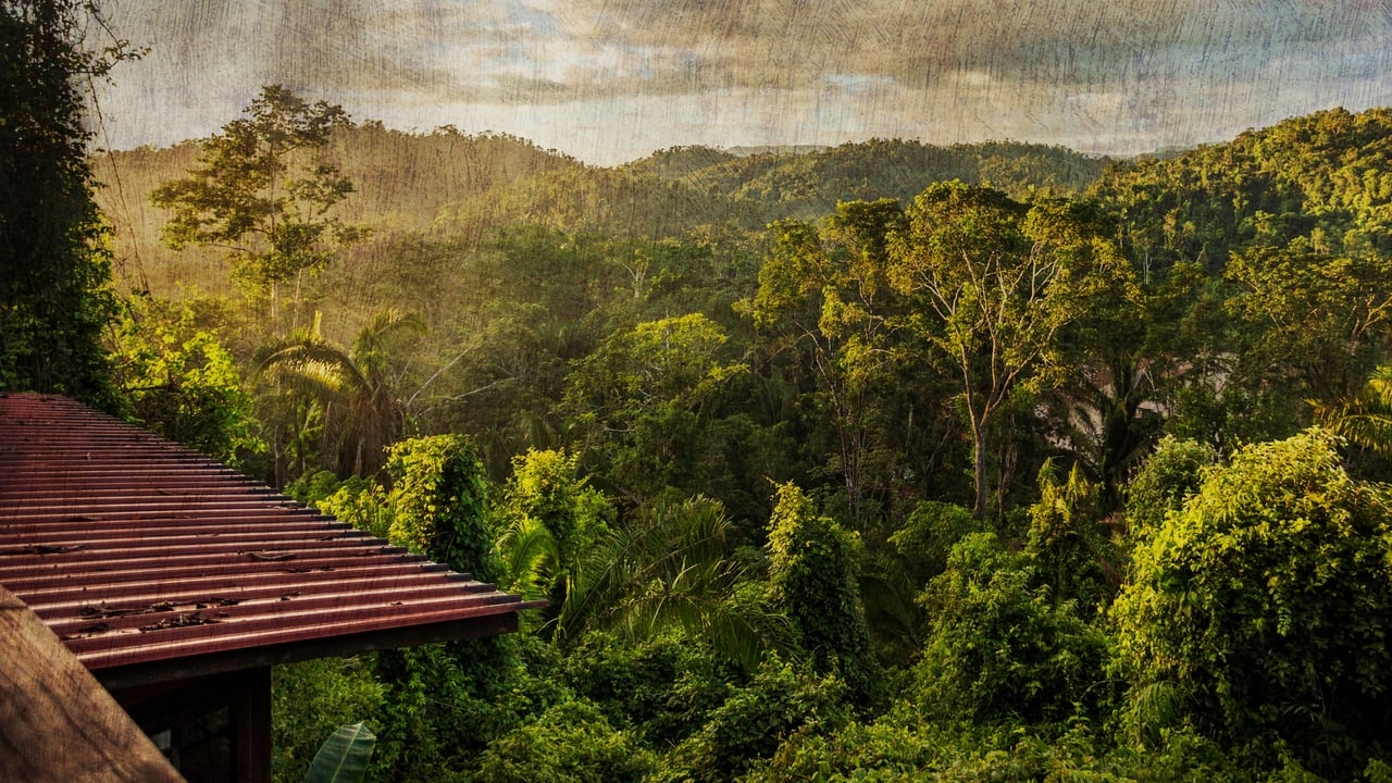 The Cannibal in the Jungle Backdrop Image