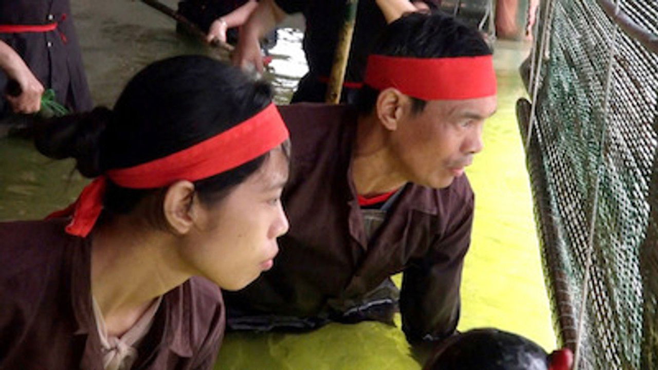 Asia Insight — Épisode 4