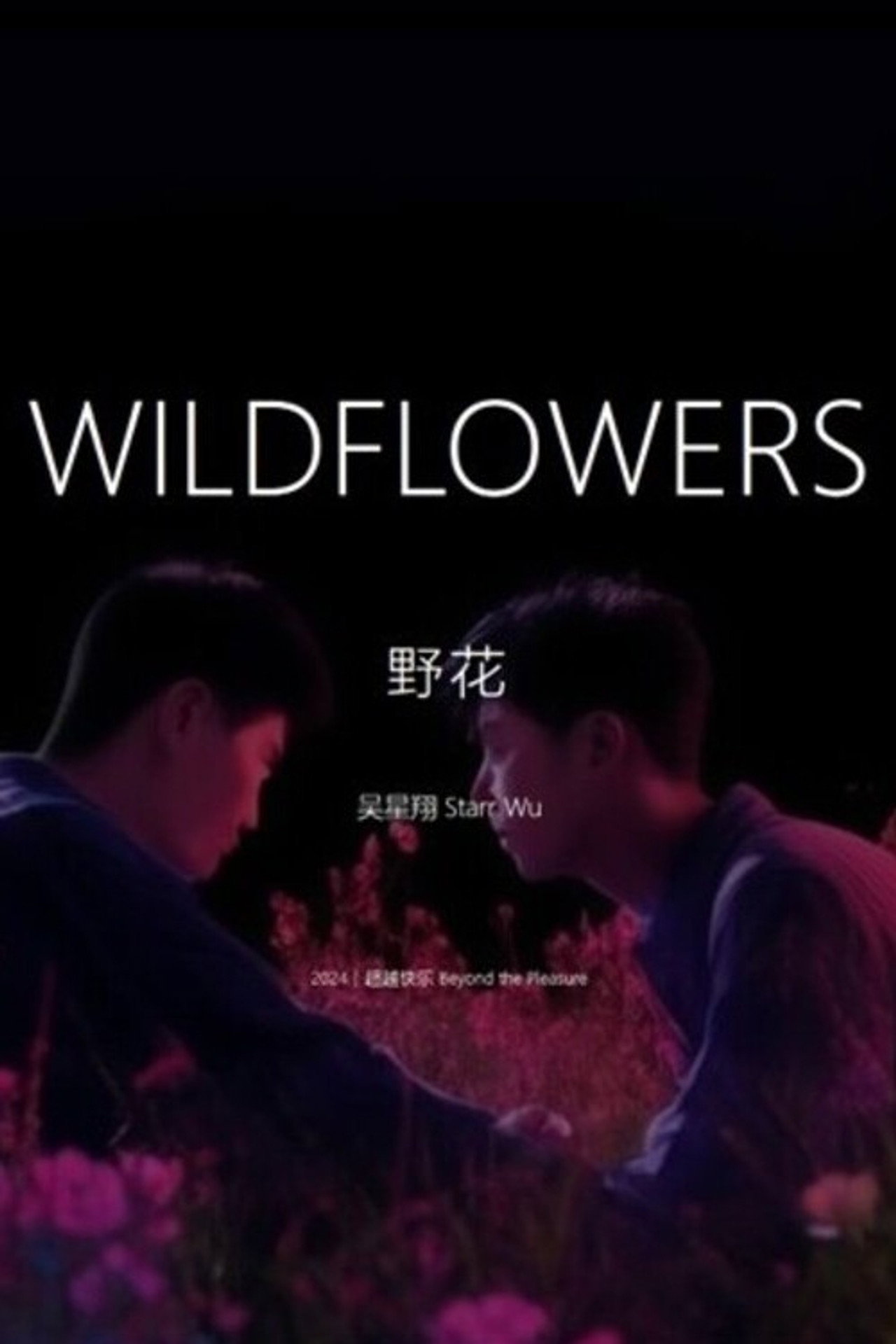 野花 filmaffisch
