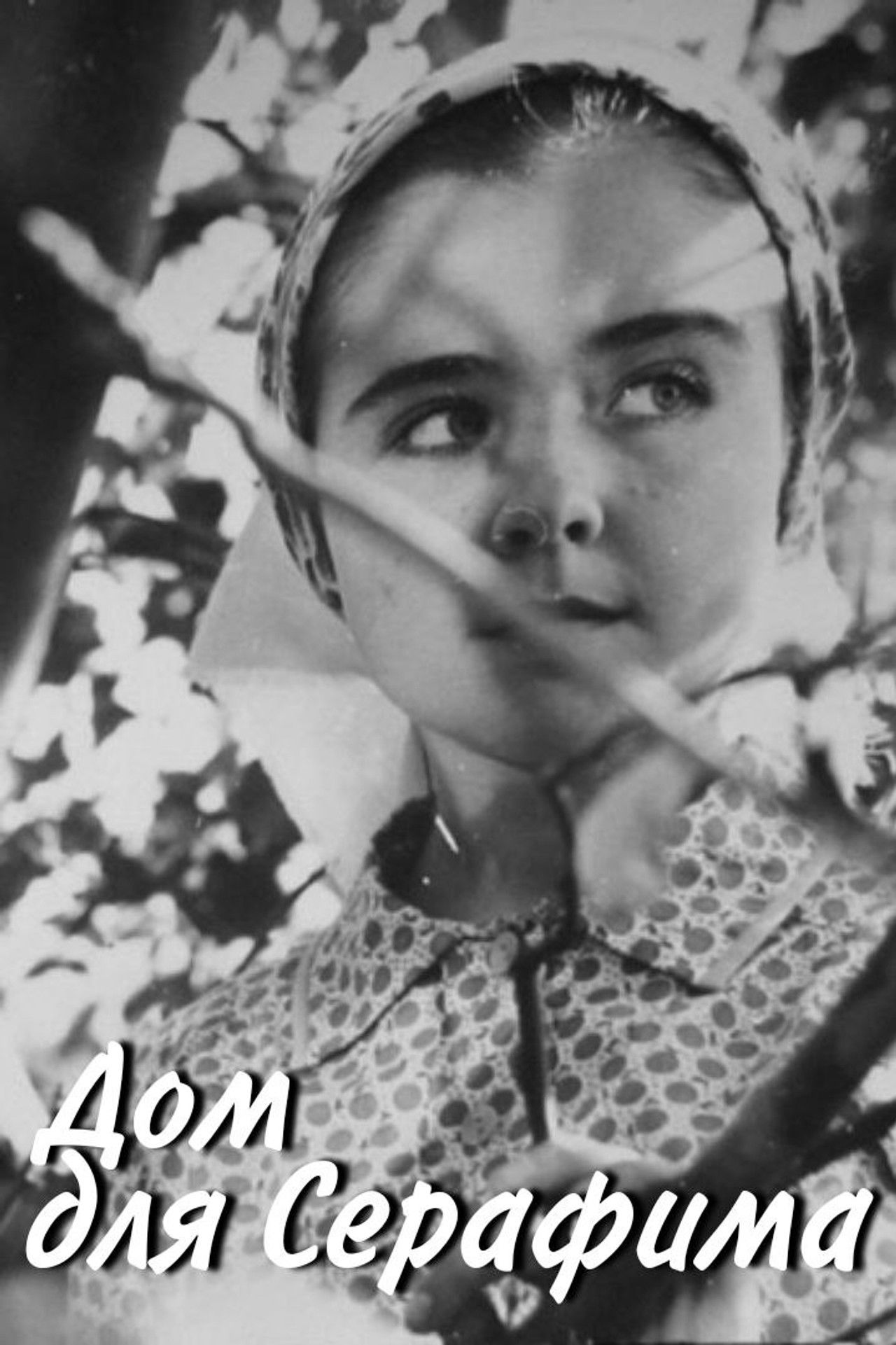 Home for Serafim Backdrop