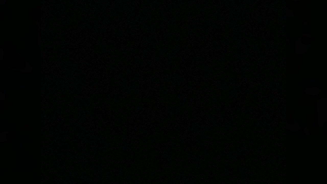 The girl beyond the gate