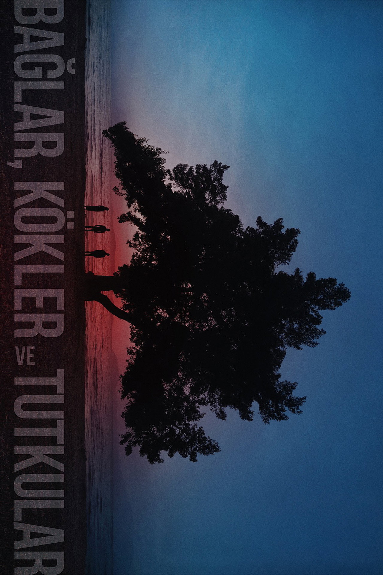 Bağlar, Kökler ve Tutkular Poster