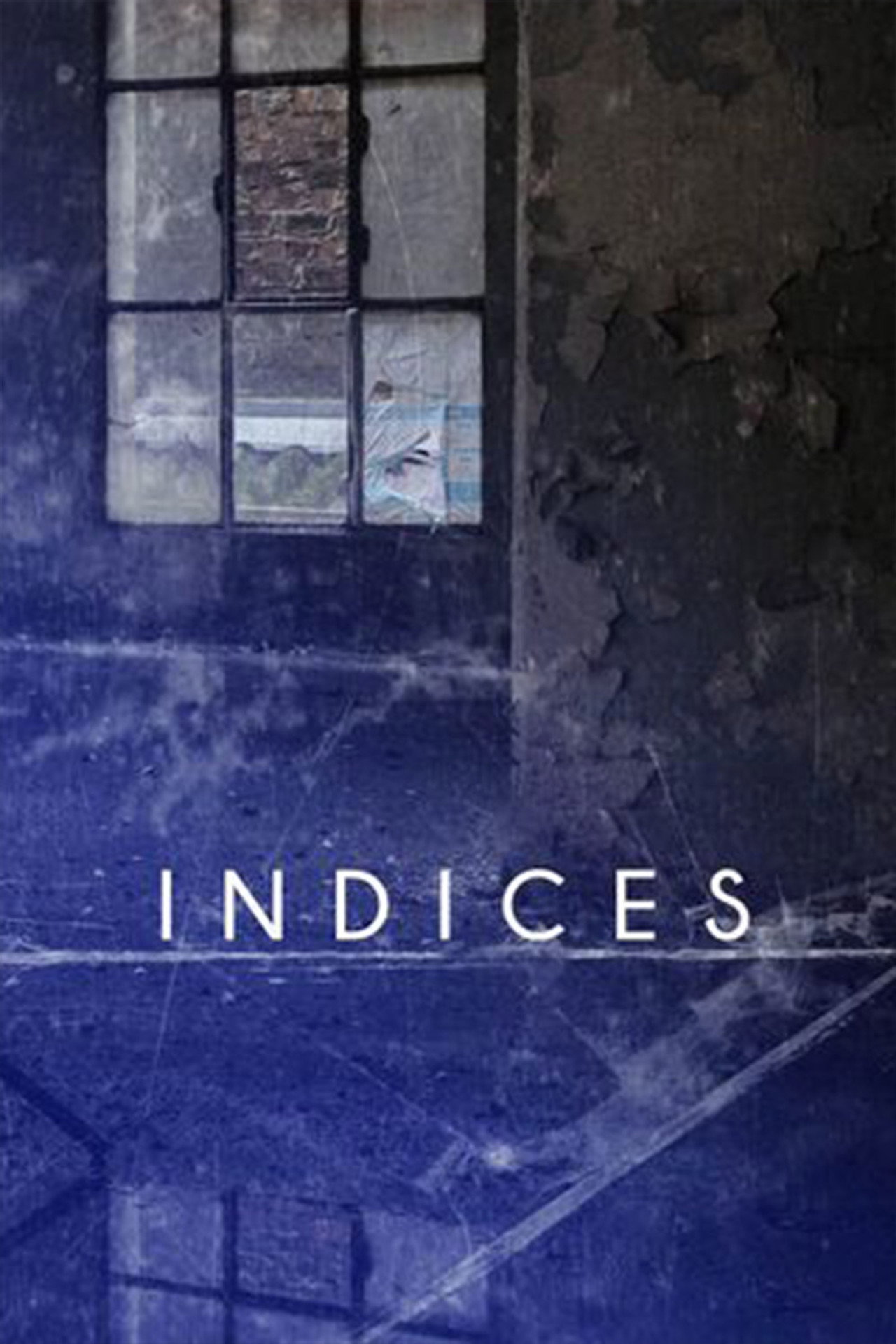 Indices affisch
