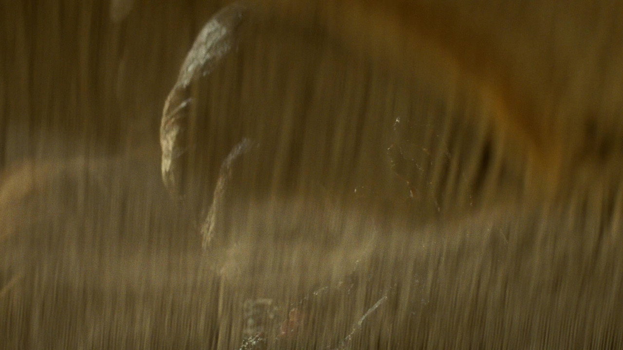 Indiana Jones and the Kingdom of the Crystal Skull background 119