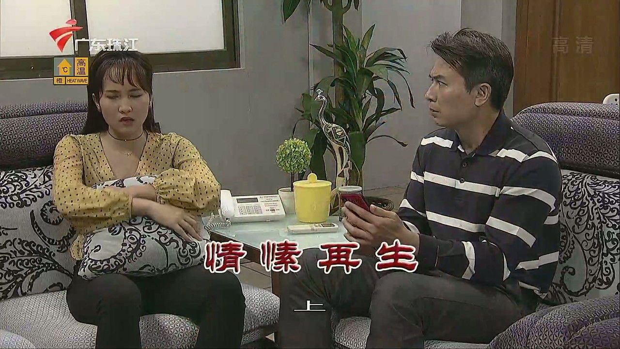 外来媳妇本地郎 — Épisode 3527