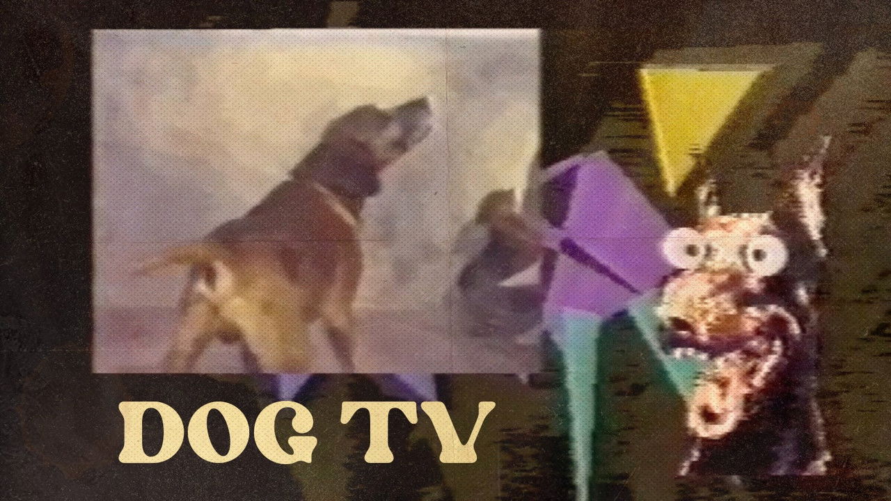 Dog TV