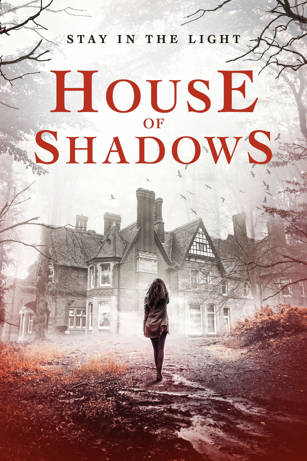 House of Shadows filmaffisch