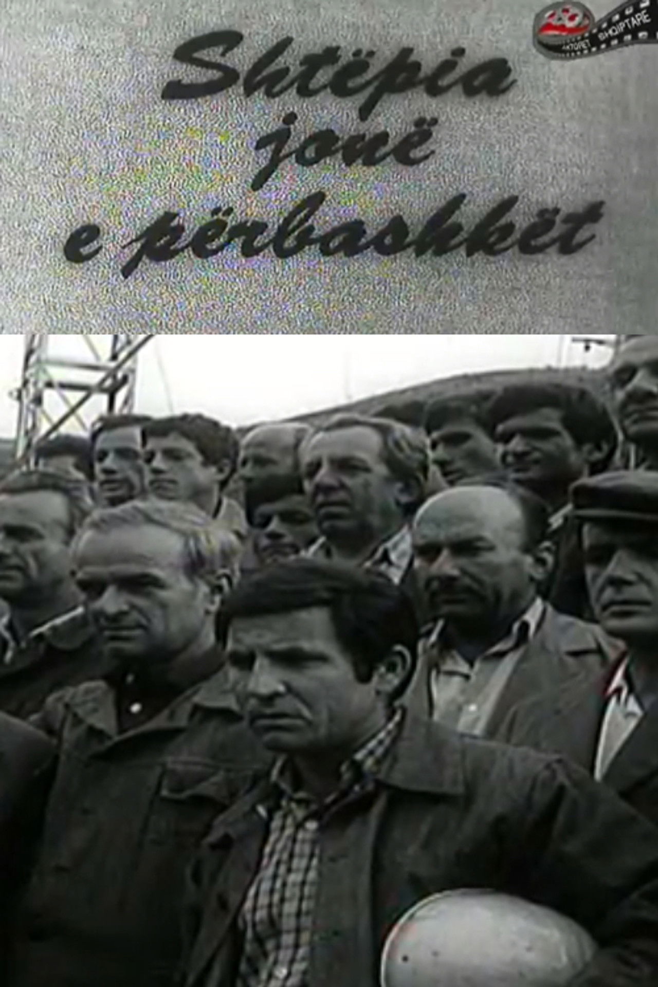 Our Shared House Backdrop