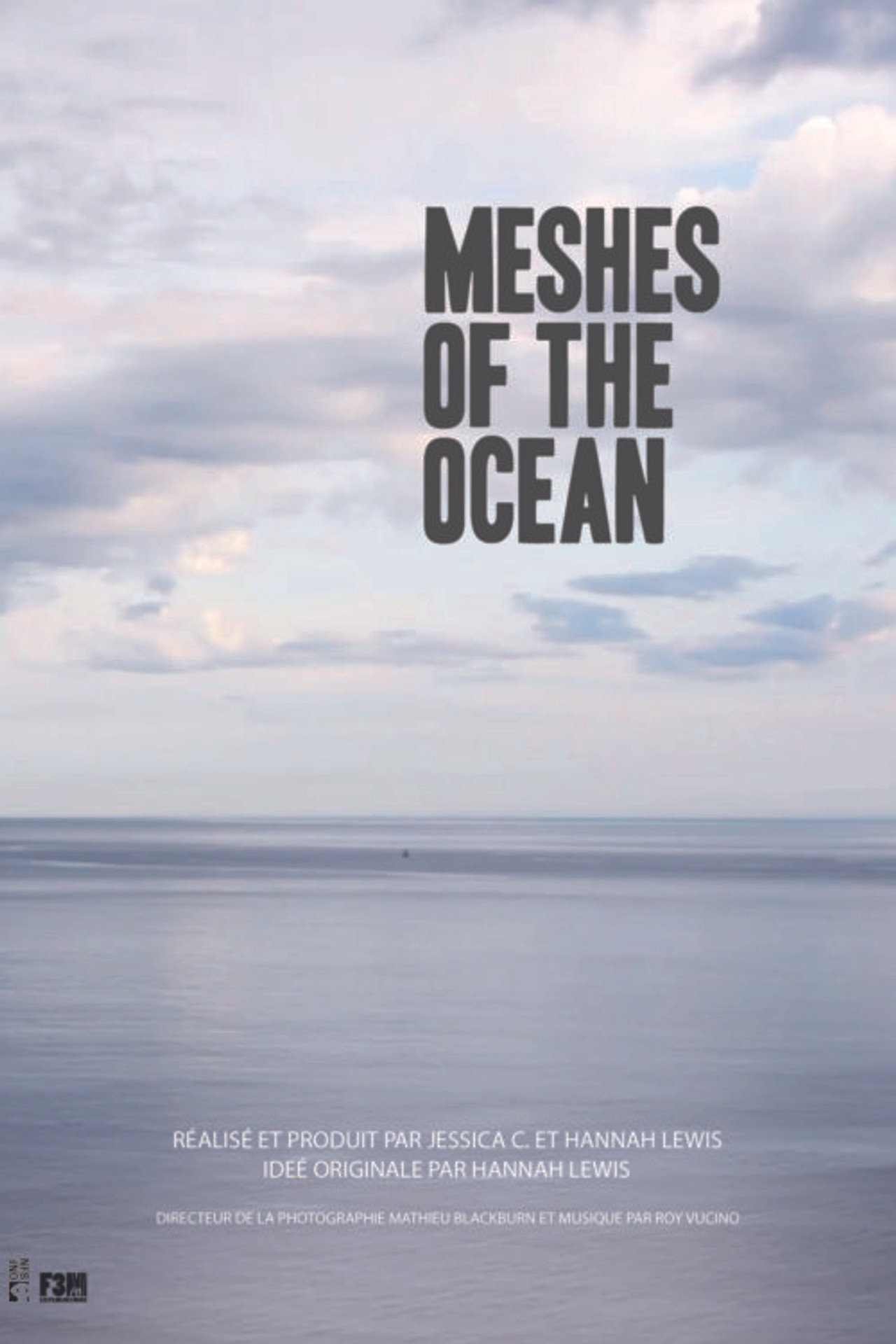 Meshes of the Ocean
