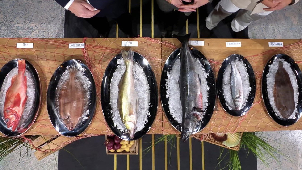 Sveriges Mästerkock — Épisode 13