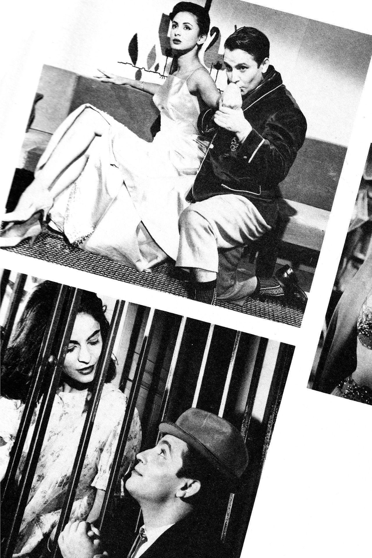 Yo y las mujeres Backdrop