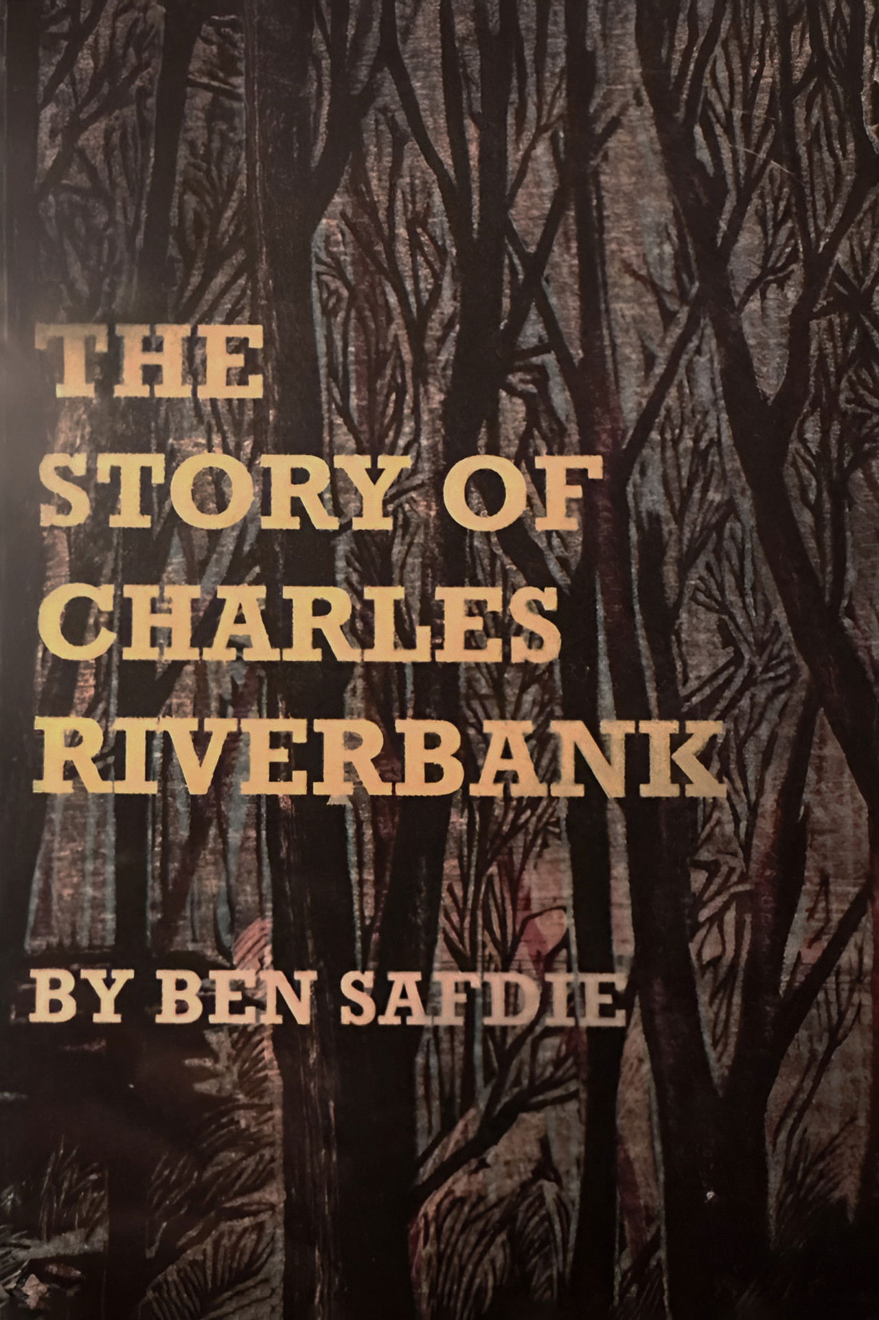 The Story of Charles Riverbank Backdrop