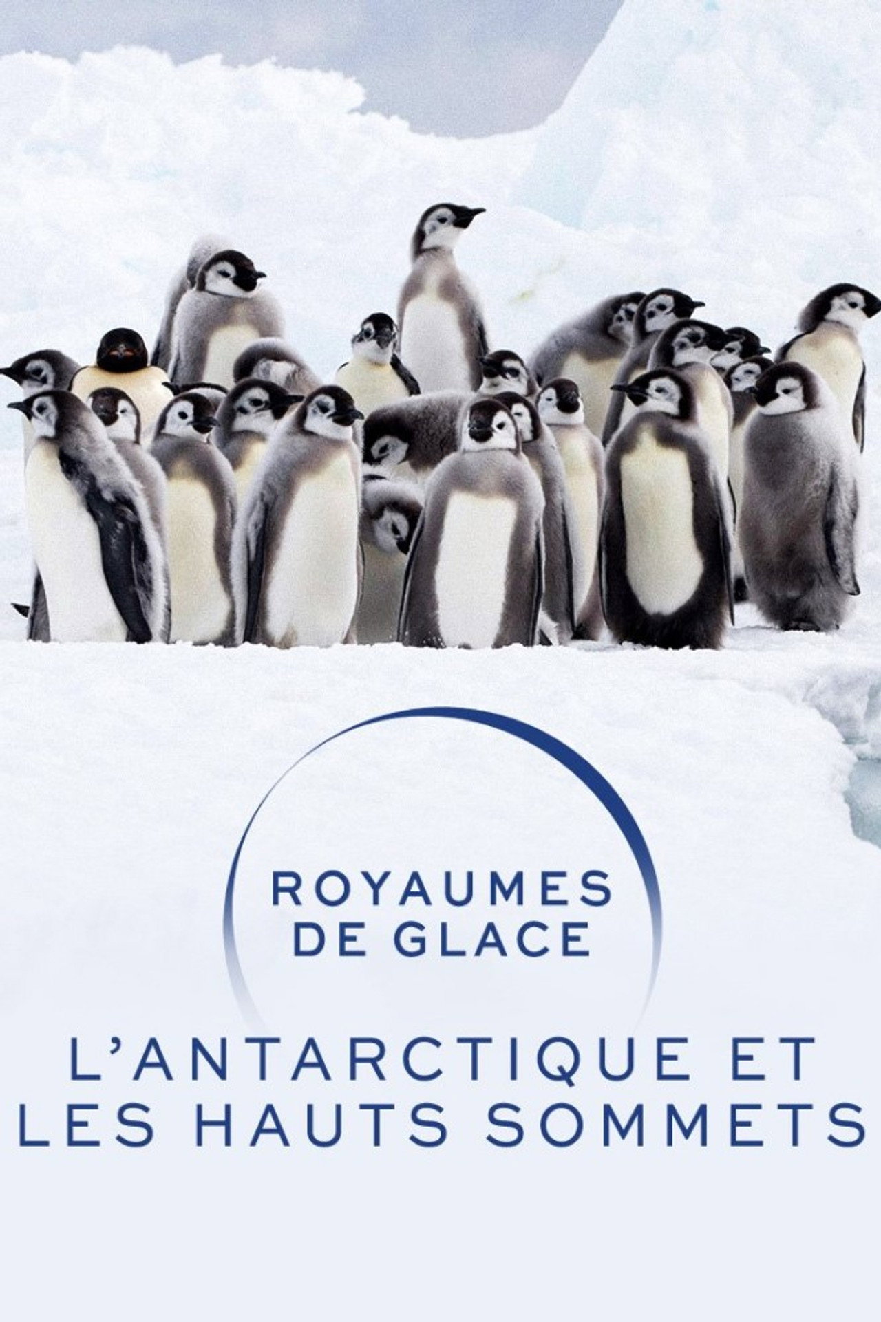 Royaumes de glace : L'Antarctique et les hauts sommets filmaffisch