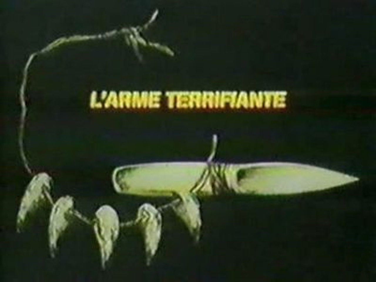 Rahan, fils des ages farouches — L'arme terrifiante