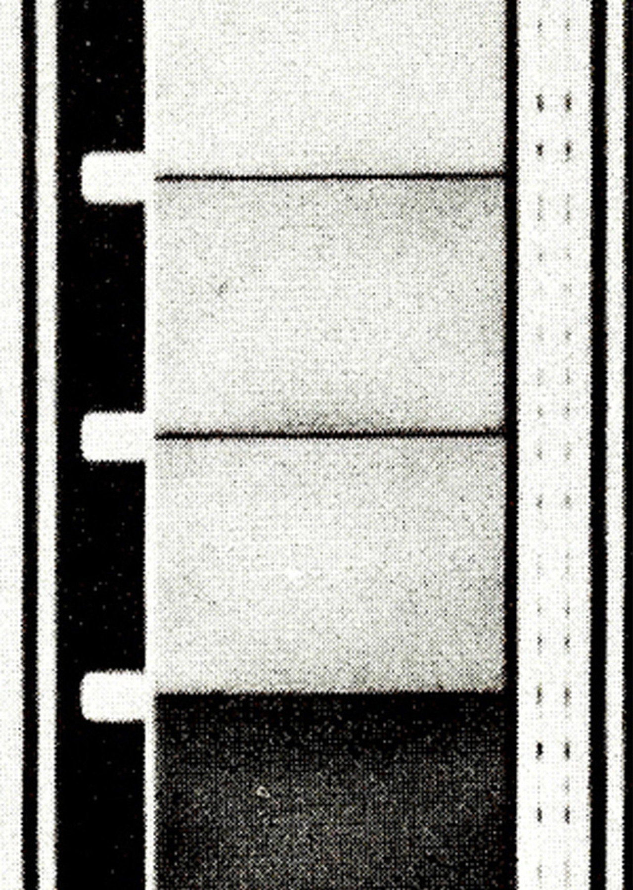 Os Sonacirema filmaffisch
