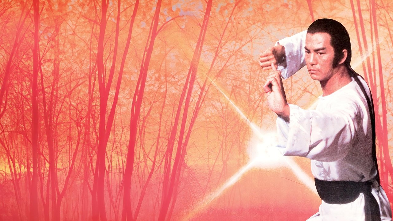 洪拳大師