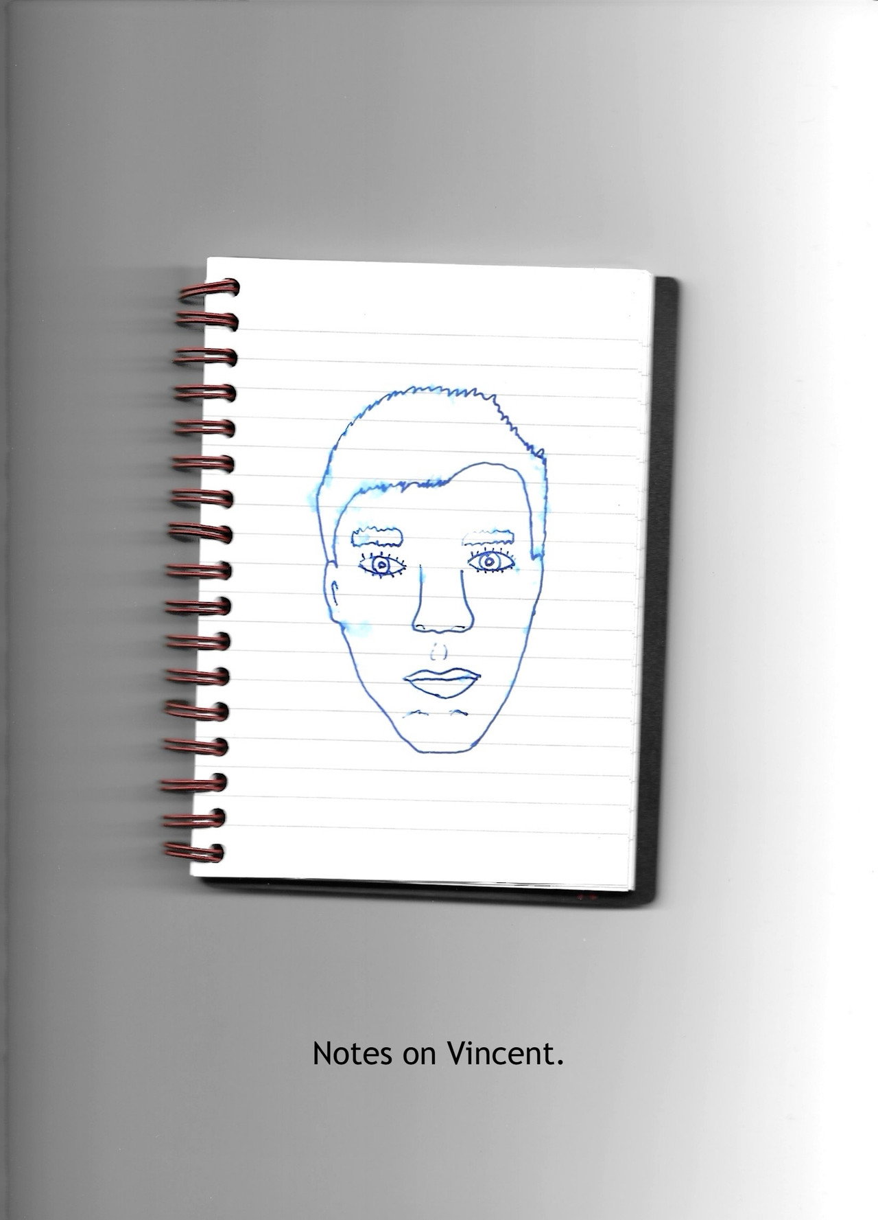 Notes on Vincent Backdrop