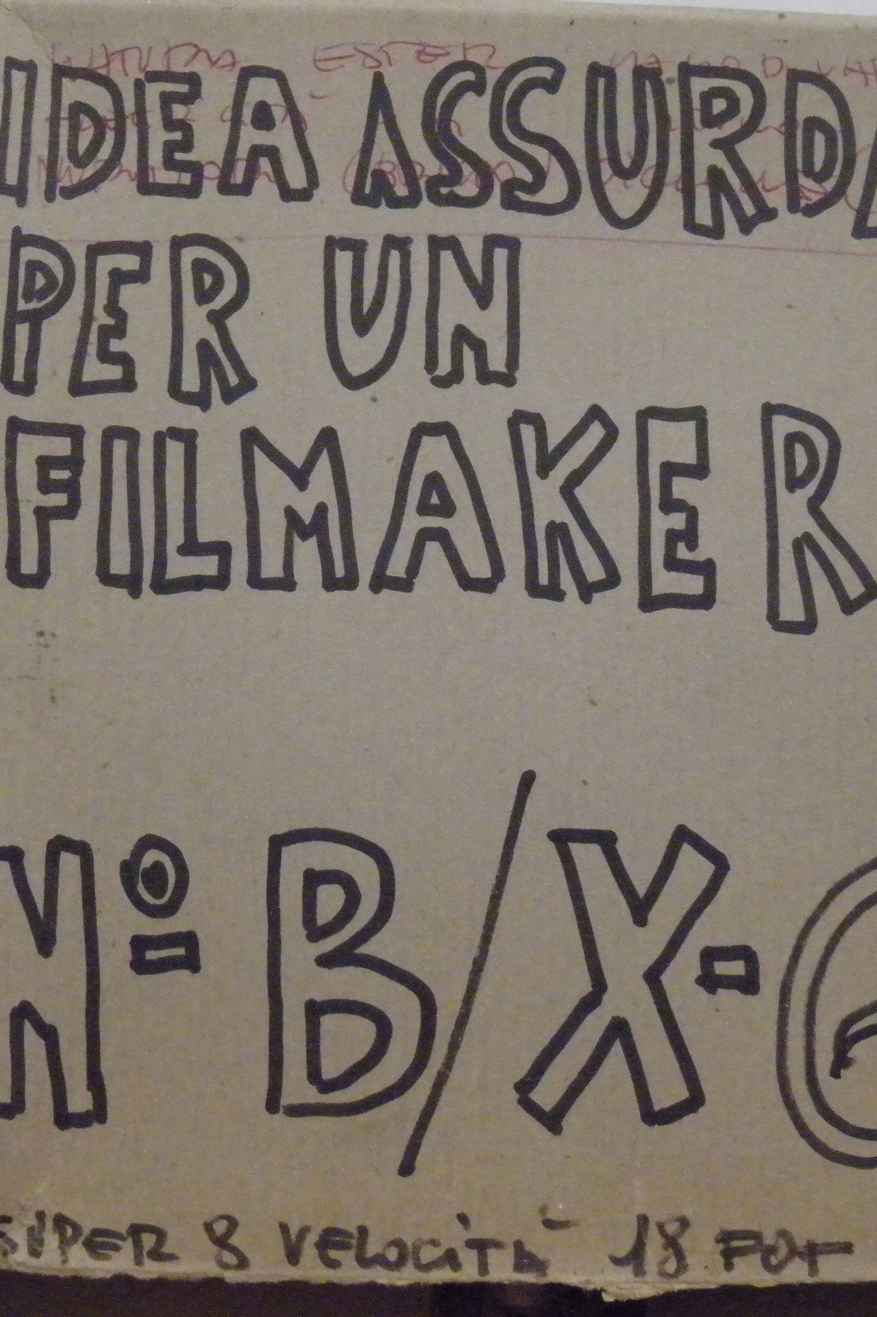 Idea assurda per un filmmaker - Ester