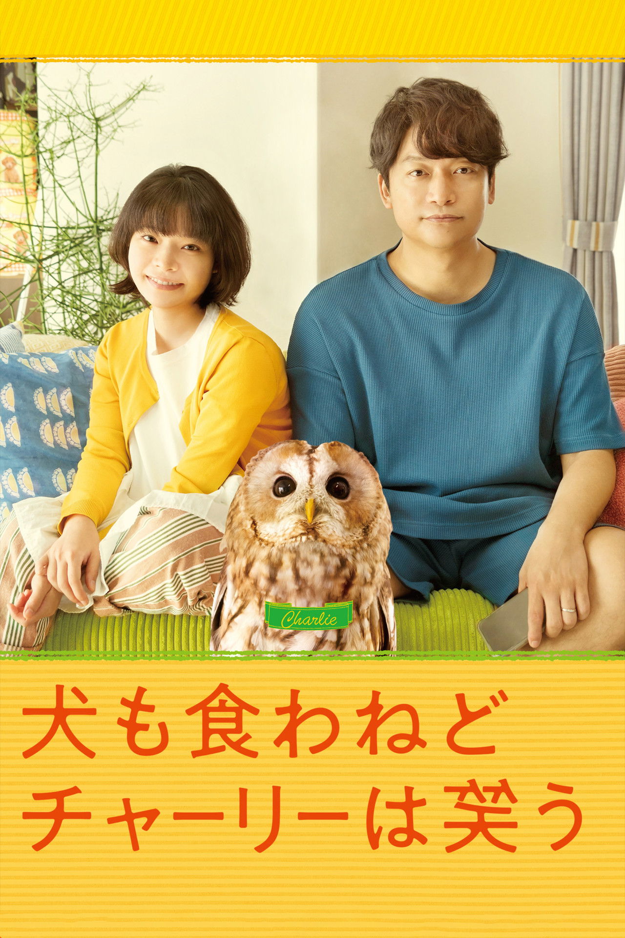 Everything Will Be Owlright! poster