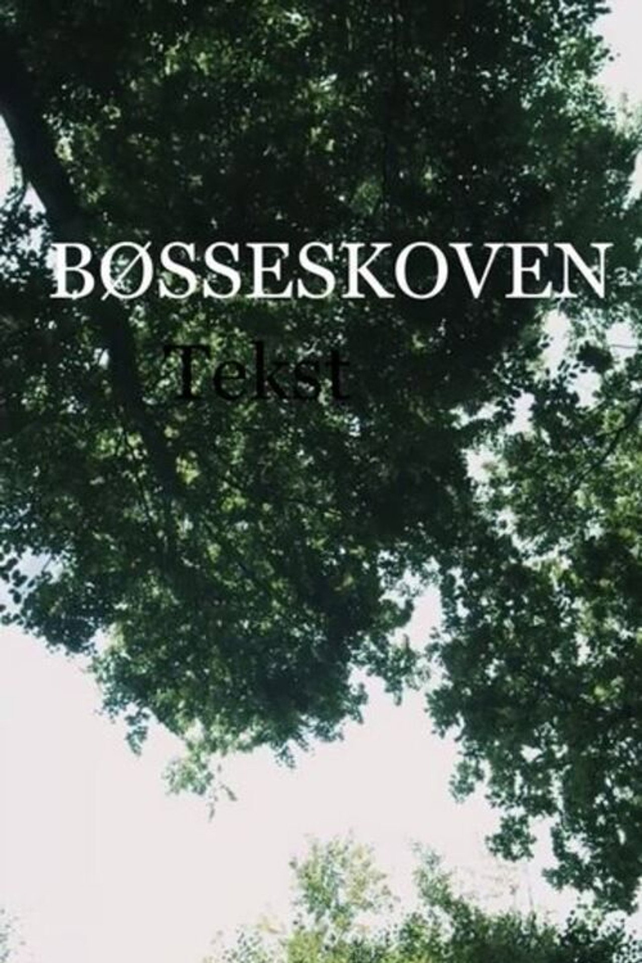 Bøsseskoven filmaffisch