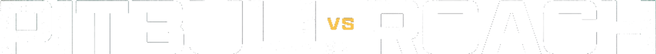Isaac Cruz vs. Lamont Roach