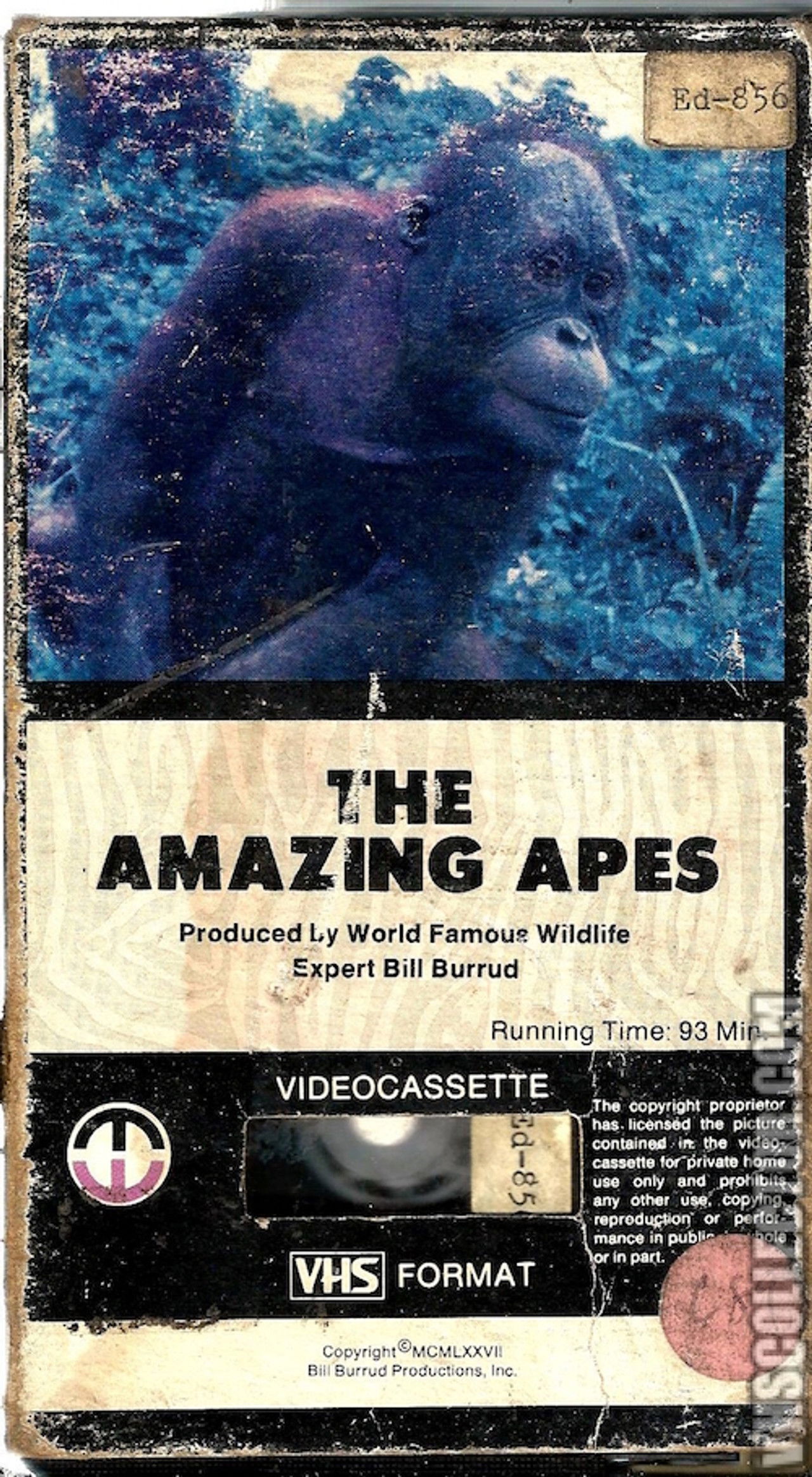 The Amazing Apes Backdrop