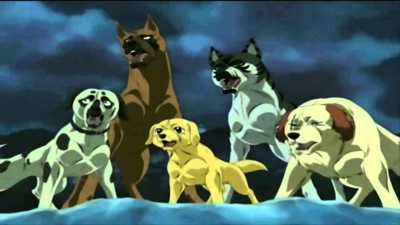 Fondo